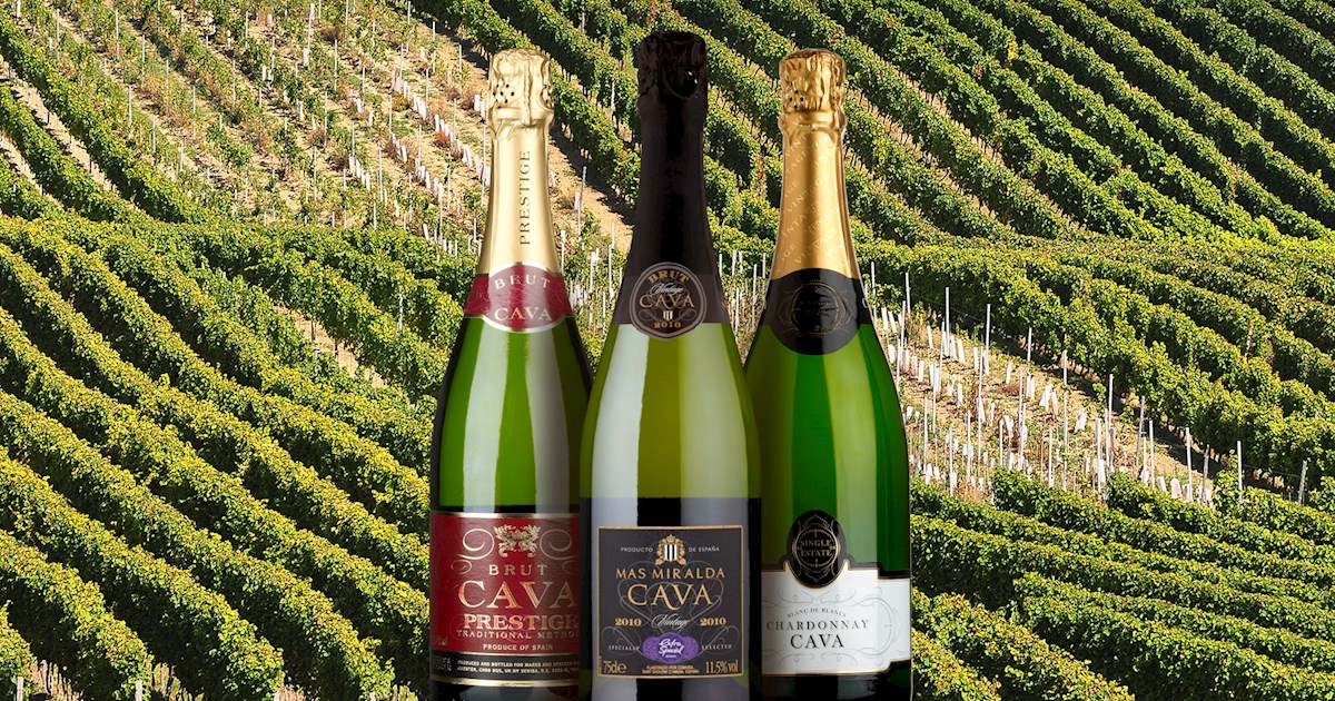 Wine Tourism in Europe: Top Destinations for Oenophiles