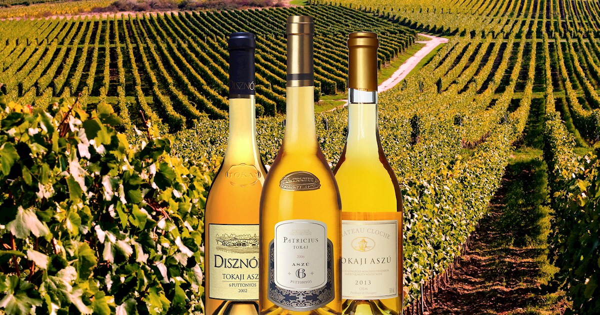 Exploring the World of Dessert Wines: A Sweet Journey